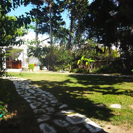 Casa Di Roma Aparthotel Parikia  Bagian luar foto